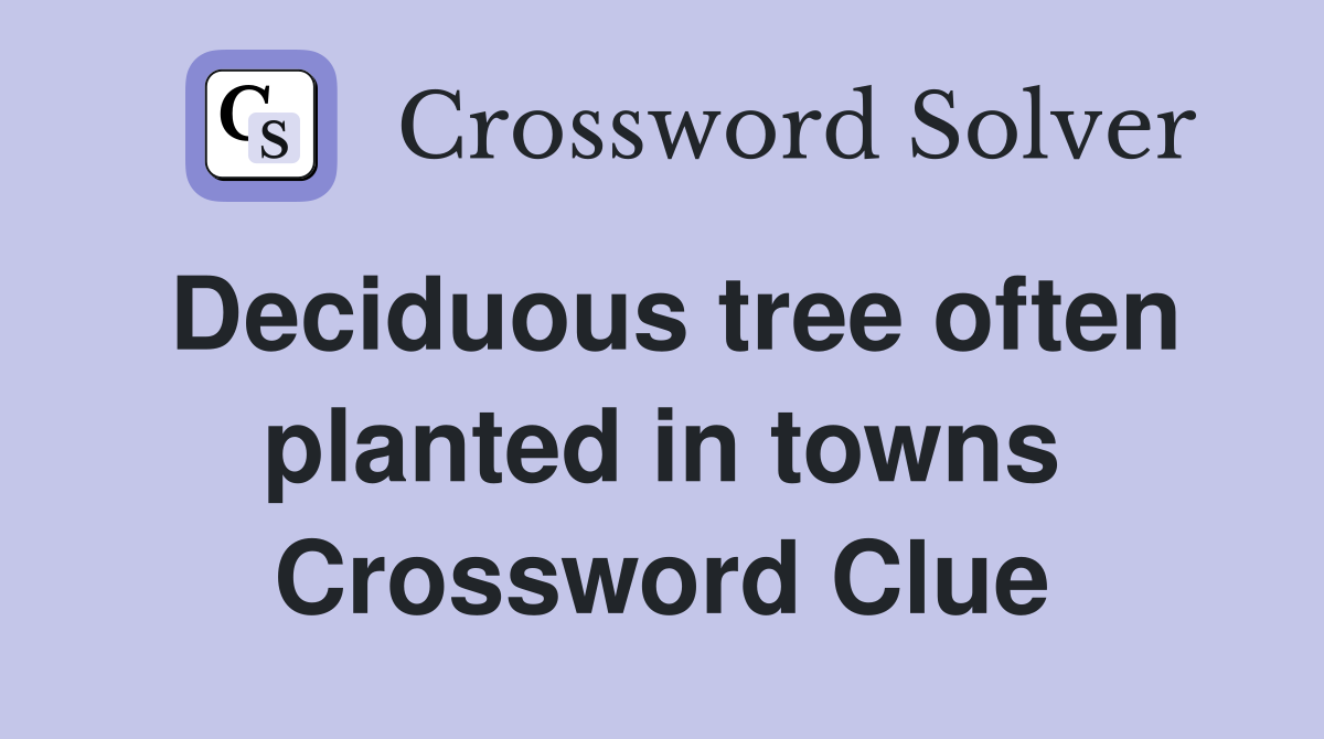 Deciduous tree often planted in towns Crossword Clue Answers